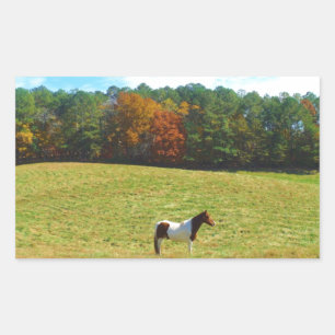 Brown & White horse,autumn trees,blue sky Rectangular Sticker