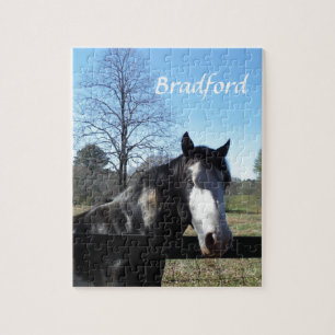 Brown &White, Painted Horse, bright blue sky Jigsaw Puzzle