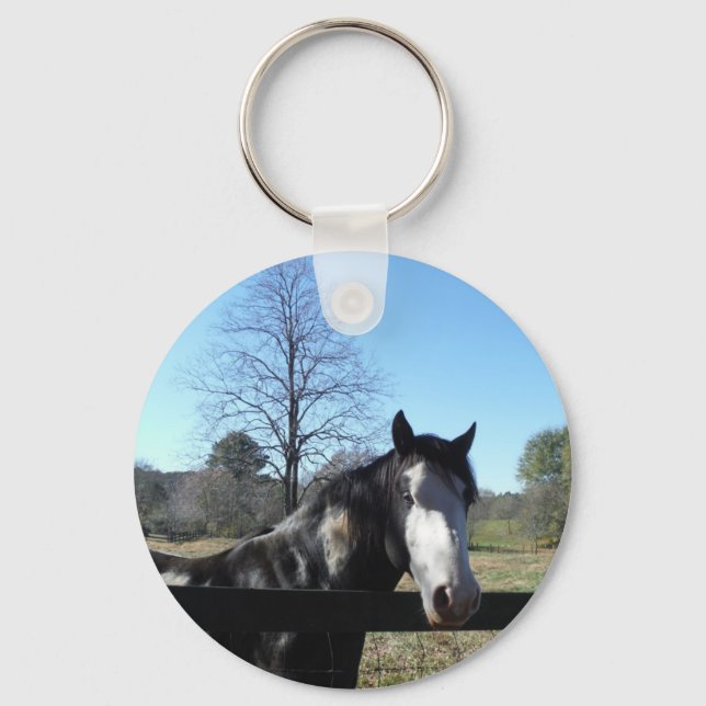 Brown &White, Painted Horse, bright blue sky Key Ring (Front)