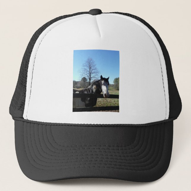 Brown &White, Painted Horse, bright blue sky Trucker Hat (Front)