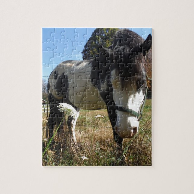 Brown &White, Painted Horse, Queen Ann Lace flower Jigsaw Puzzle (Vertical)