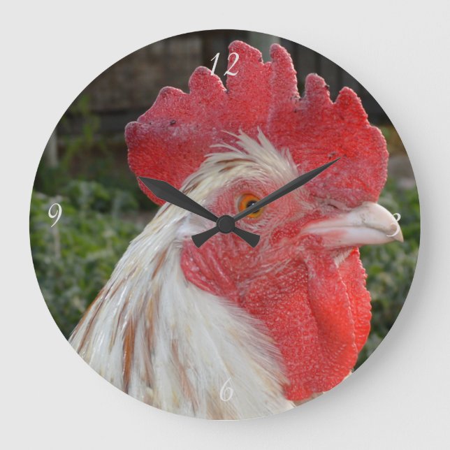 Brown White Rooster Face, Large Round Wall Clock (Front)