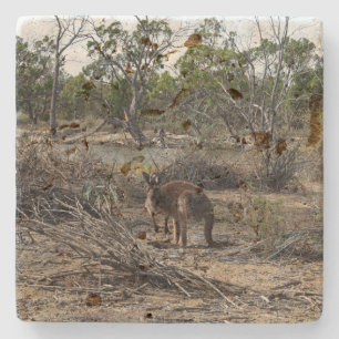 Brown Wild Australian Bush Kangaroo, Stone Coaster