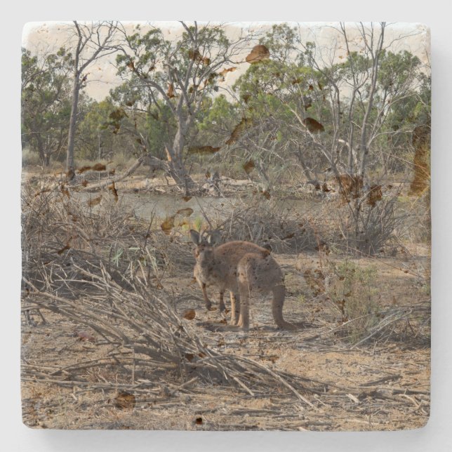 Brown Wild Australian Bush Kangaroo, Stone Coaster (Front)