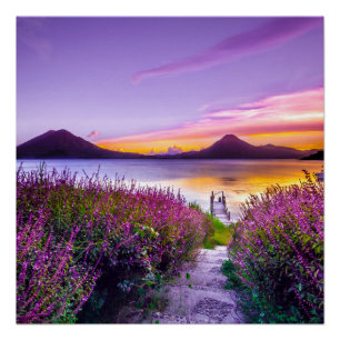 brown wooden dock between lavender flower field poster