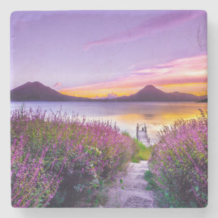brown wooden dock between lavender flower field stone coaster