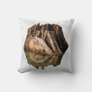 BROWN WOODEN FRAME CUSHION
