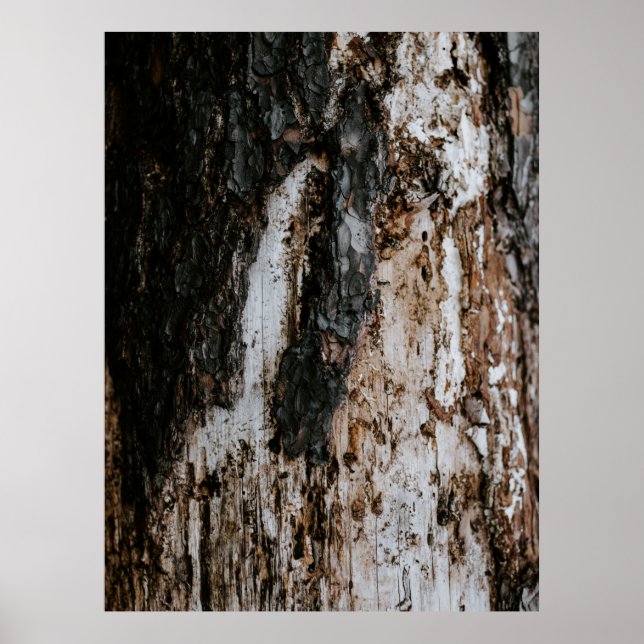 Brown wooden log poster (Front)