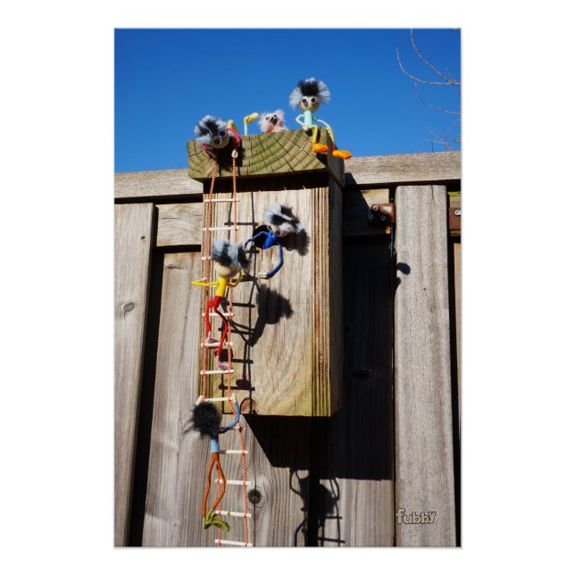 Brownbroiler birdhouse climbing fubby's poster (Front)