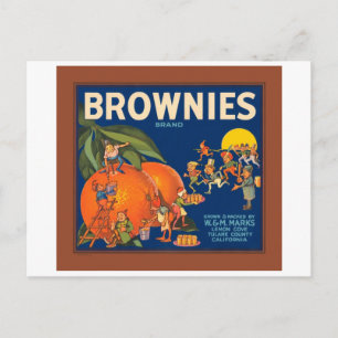Brownies Brand Vintage Fruit Crate Label Postcard