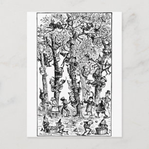 Brownies picking apples in orchard postcard