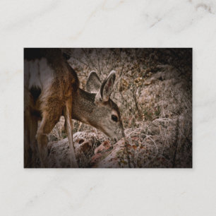Browsing Deer Wildlife Business Card