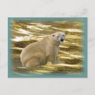 Brrr.....Postcard Postcard