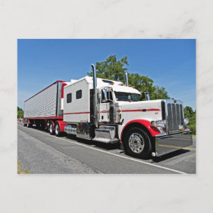 Brubaker Big Bunk 389 Postcard