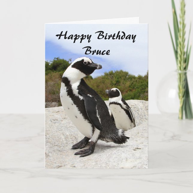 Bruce Happy Birthday African Penguins Humor Card (Front)