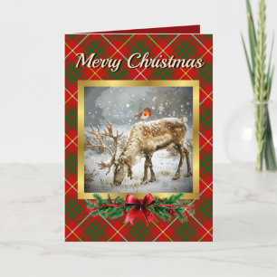 Bruce Stag & Robin Tartan Personalised  Holiday Card