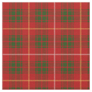 Bruce Tartan Print Fabric
