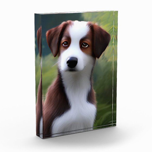 Bruce The Border Collie Puppy, Photo Block (Left)