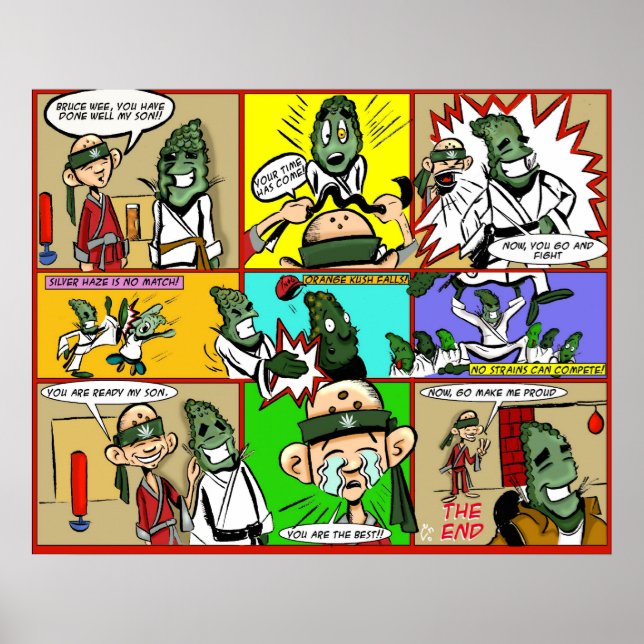 Bruce Wee Poster (Front)