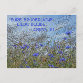 Brüderliche Liebe Postcard
