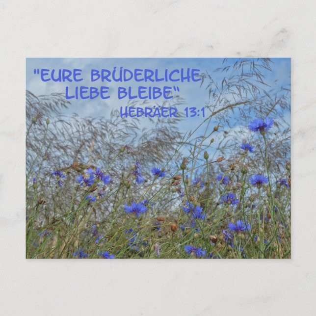 Brüderliche Liebe Postcard (Front)