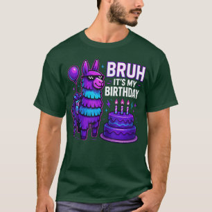 Bruh Its My Birthday Llama Pinata Family Bday Part T-Shirt