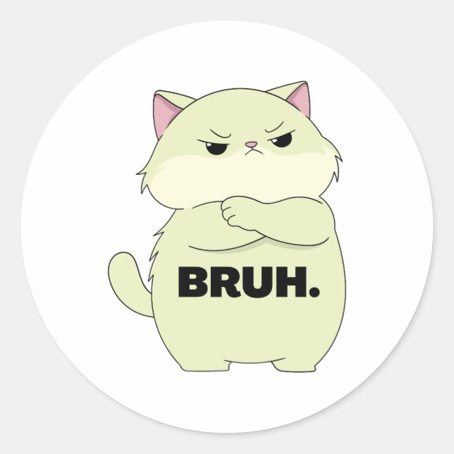 Bruh Kitty Sticker (Front)
