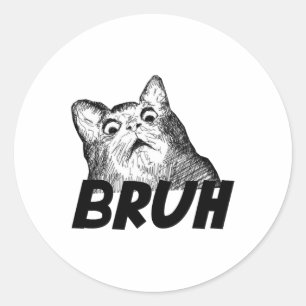 Bruh Shocked Gasp Cat Funny Classic Round Sticker
