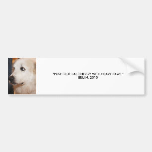 BRUIN: PUSH OUT BAD ENERGY BUMPER STICKER