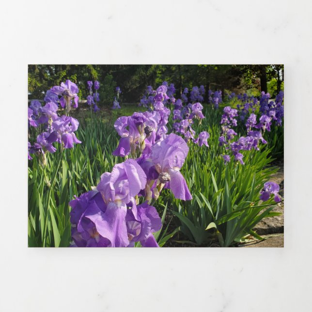 Bruised and Battered Card (Cover)