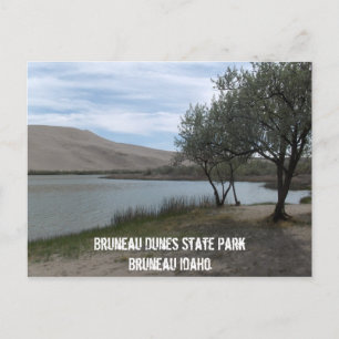 Bruneau Dunes State Park Postcard