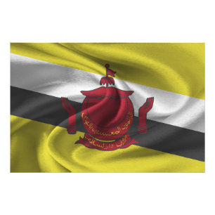 Brunei Flag Photo Print