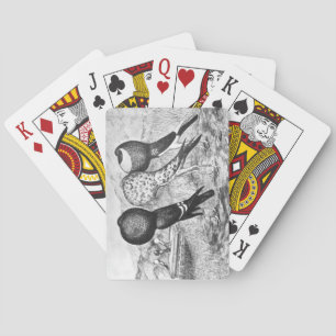 Brunner Pouter Pigeons Playing Cards