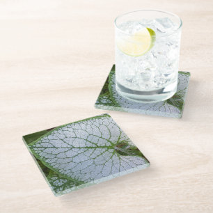 Brunnera Macrophylla Plant Leaf Floral Glass Coaster