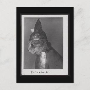 Brunnhilde kitty postcard