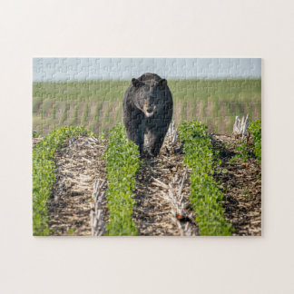 Bruno the Bear in the Beans Puzzle