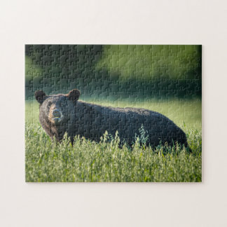 Bruno the Bear Puzzle