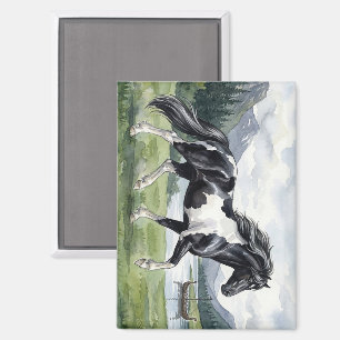 Brunskjottur Black pinto Icelandic Magnet