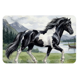 Brunskjottur Black pinto Icelandic Magnet