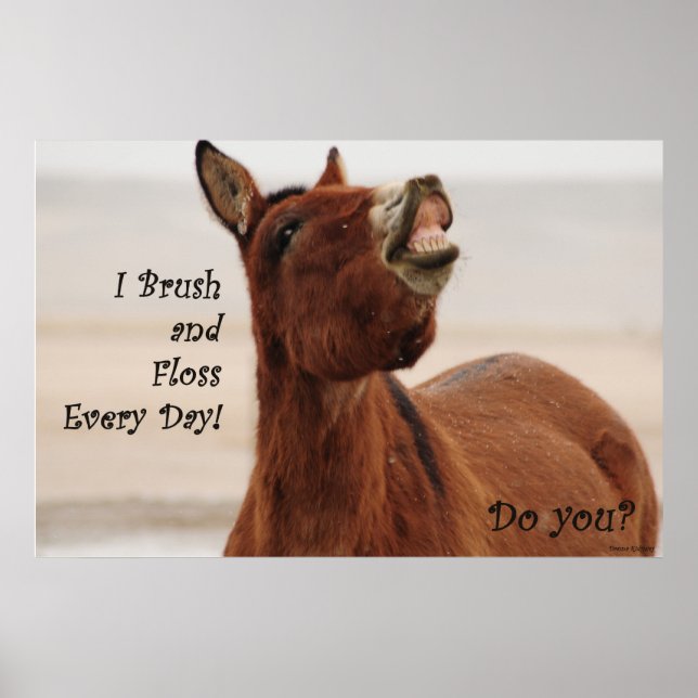 Brush and Floss Your Teeth Daily Poster (Front)