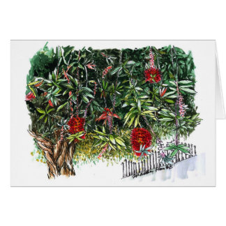 brush flowers