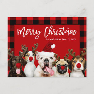 Brush Script Merry Christmas Dogs Red Plaid Postcard