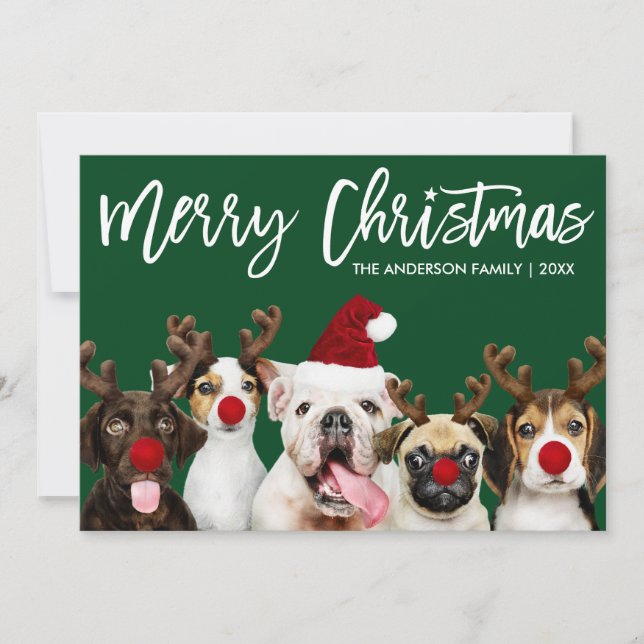 Brush Script Star Merry Christmas Dogs Green Holiday Card (Front)