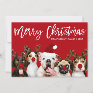 Brush Script Star Merry Christmas Dogs Red Holiday Card