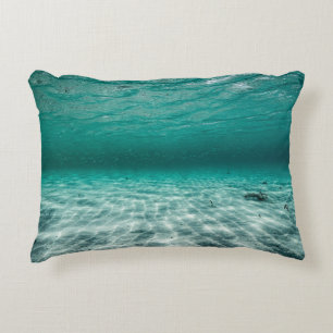 Brushed Polyester Decorative Cushion