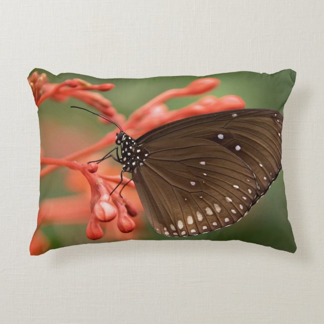 Brushed Polyester Decorative Cushion (Front)