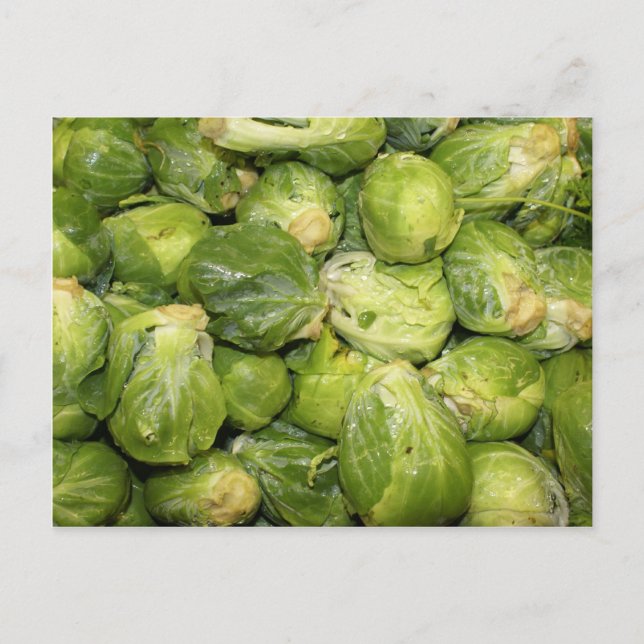 Brussel Sprouts Postcard (Front)