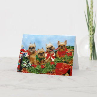 Brussells Griffon Dog Christmas Card