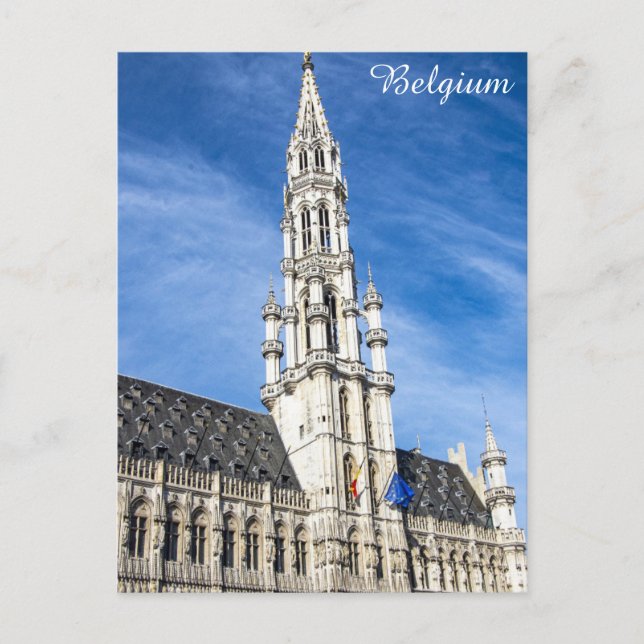Brussels Belgium Grand Place Travel Photo Postcard (Front)