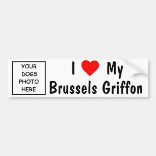 Brussels Griffon Bumper Sticker